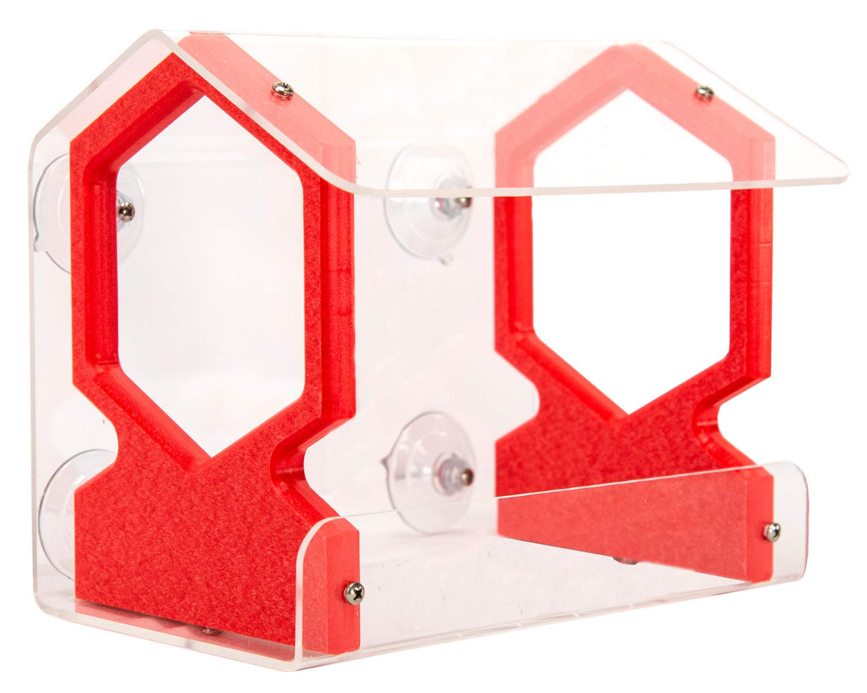 Acrylic bird feeder with red hexagonal accents and clear suction cups attached to a clear acrylic base showcasing a modern design aesthetic