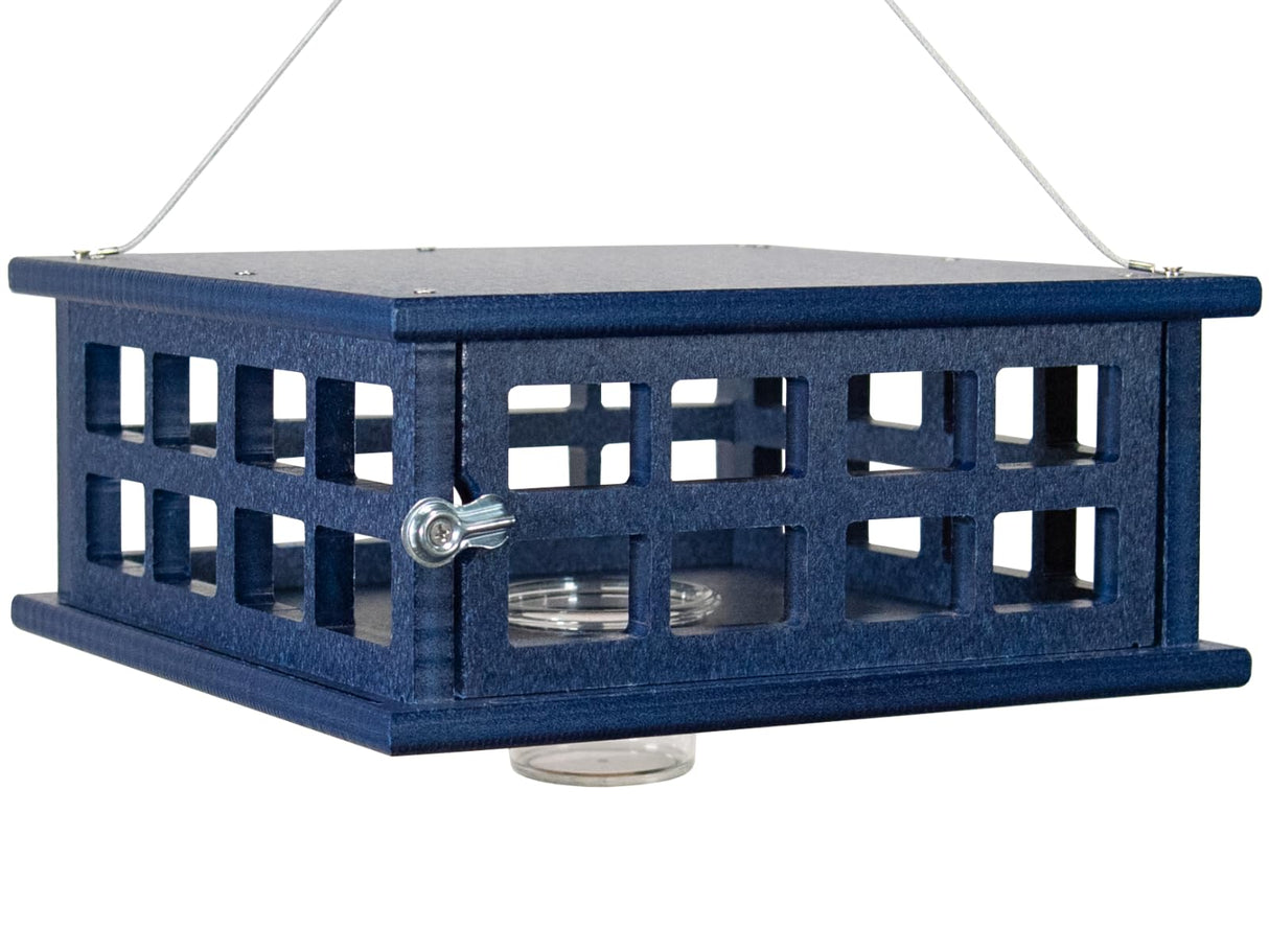JCS Wildlife Recycled Poly Lumber Caged Platform Bluebird Feeder designed to attract bluebirds and exclude larger birds.