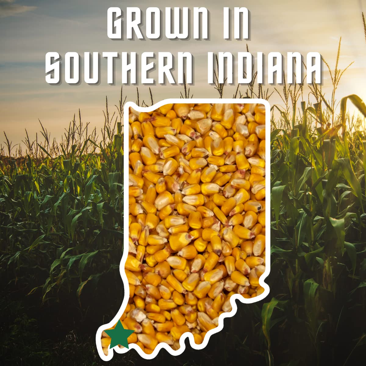 Loose shelled corn illustration highlighting its origin from Southern Indiana for wildlife feed.