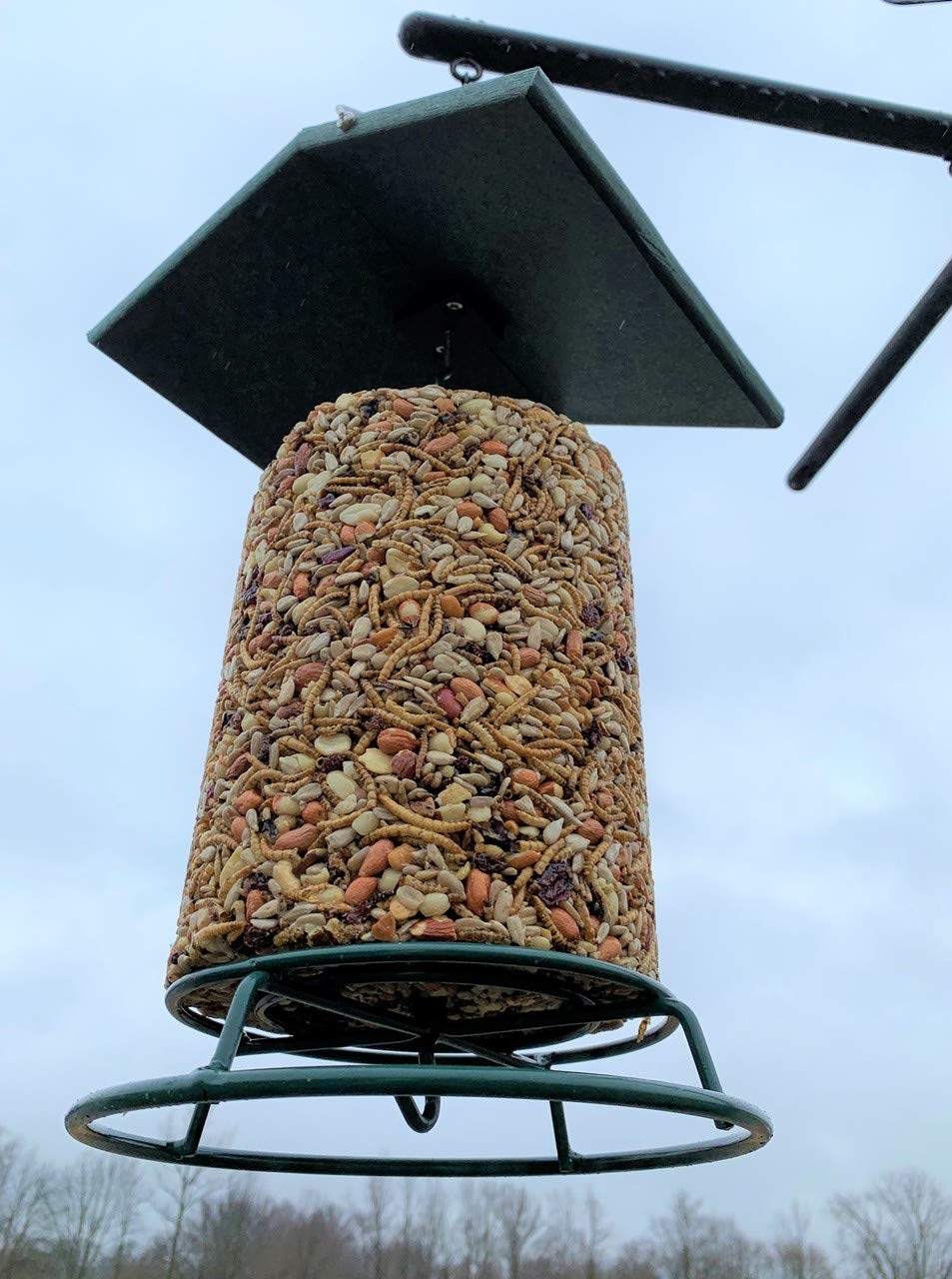 Photograph of a cylindrical bird feeder filled with a mix of seeds nuts and dried cranberries hanging outdoors against a pale sky  with a dark green metal top and base visible in the background are bare winter trees
