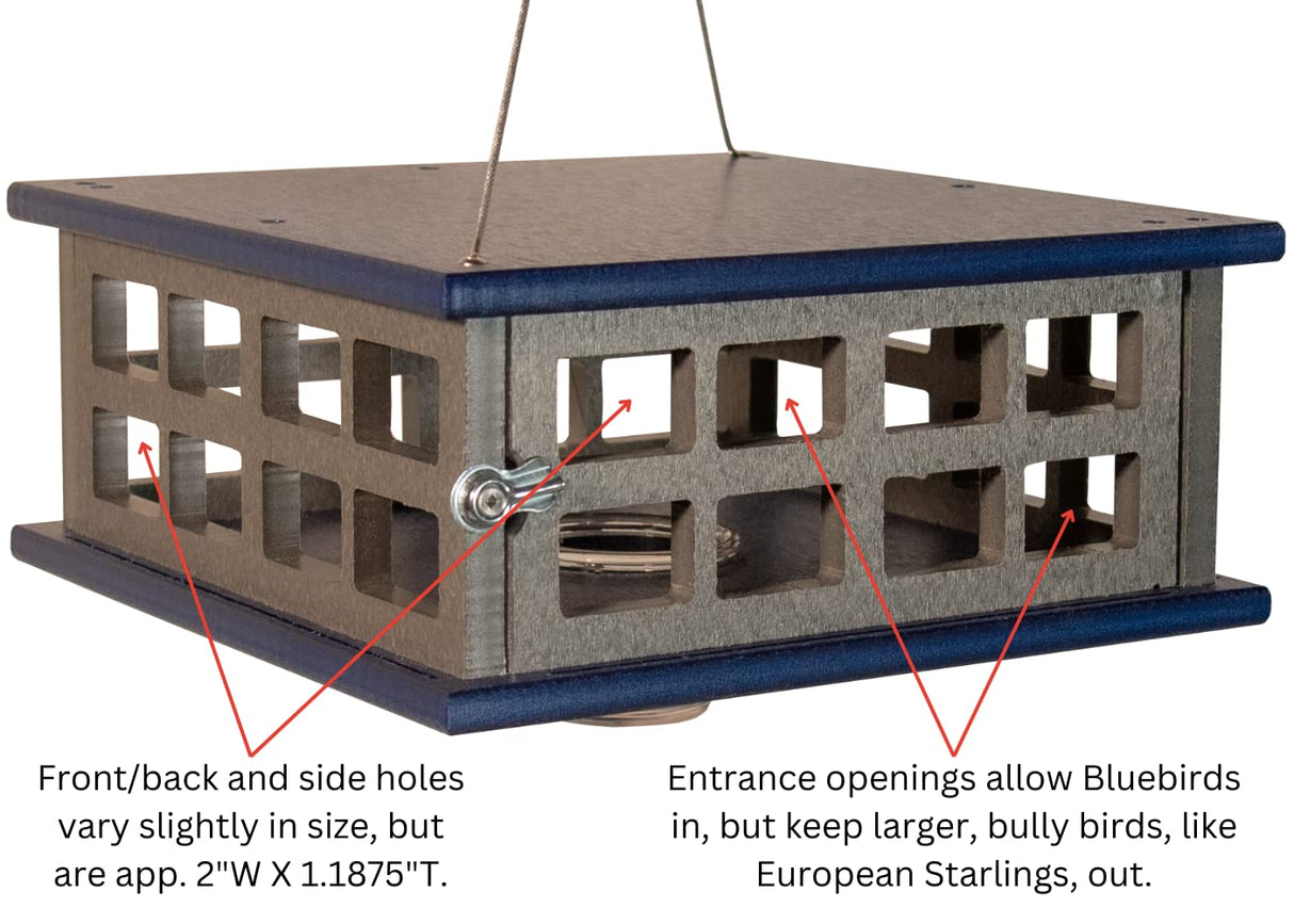 JCS Wildlife Recycled Poly Lumber Caged Platform Bluebird Feeder design with openings for bluebirds and protection from larger birds.