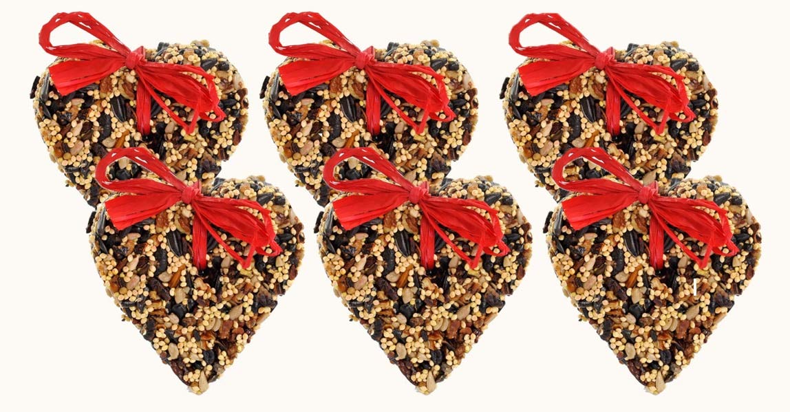 Photograph six heart-shaped bird feeders filled with mixed seeds and tied with vibrant red bows against a white background