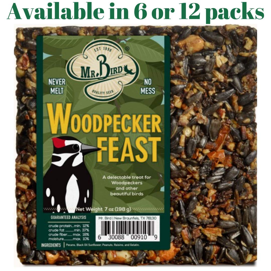 Mr. Bird Woodpecker Feast birdseed bar features pecans, raisins, and black oil sunflower seeds against a green background showing a woodpecker