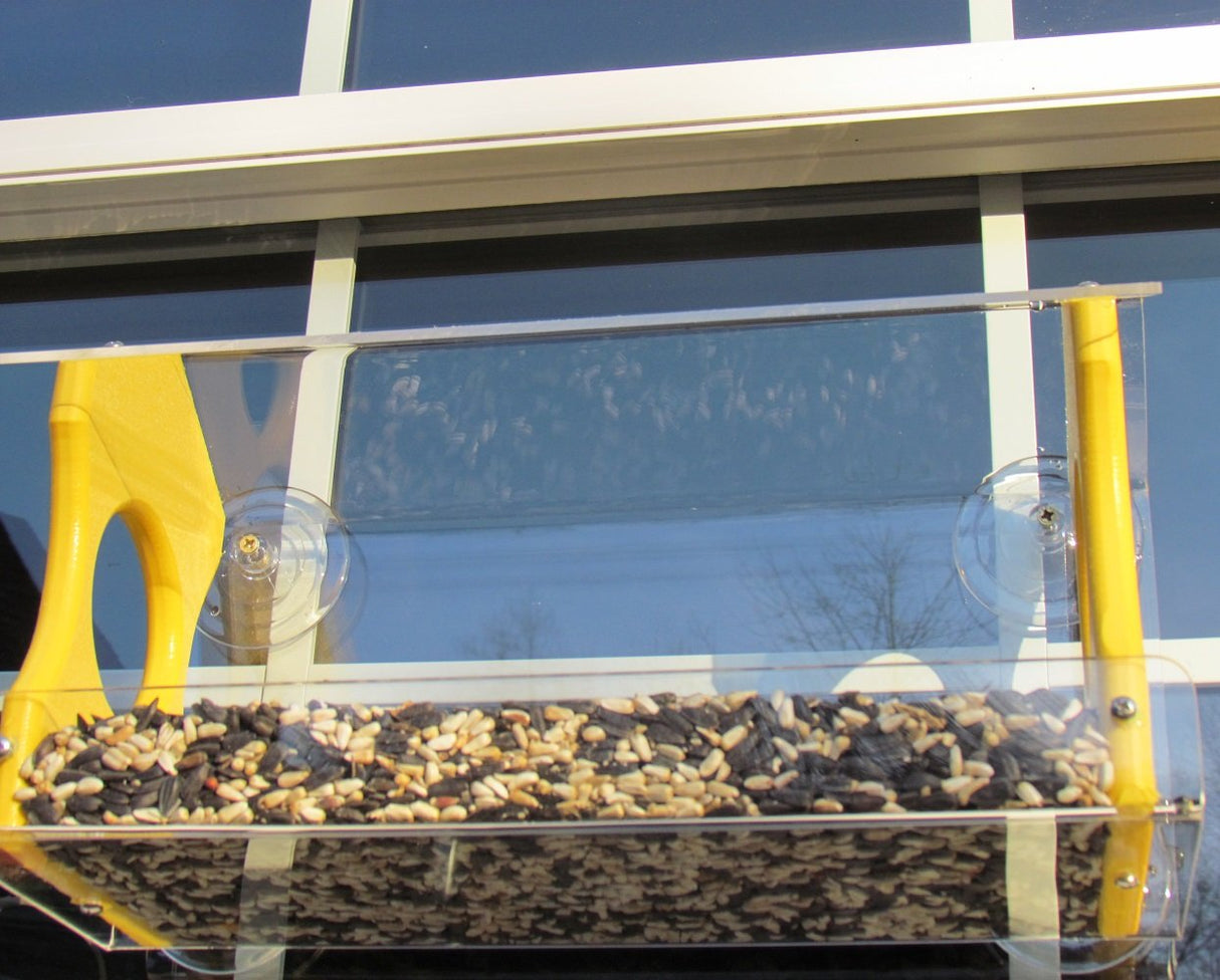 Photograph of a clear plastic and yellow bird feeder attached to a window showing a mix of birdseed including sunflower and black oil seeds and a reflection of a tree in the window