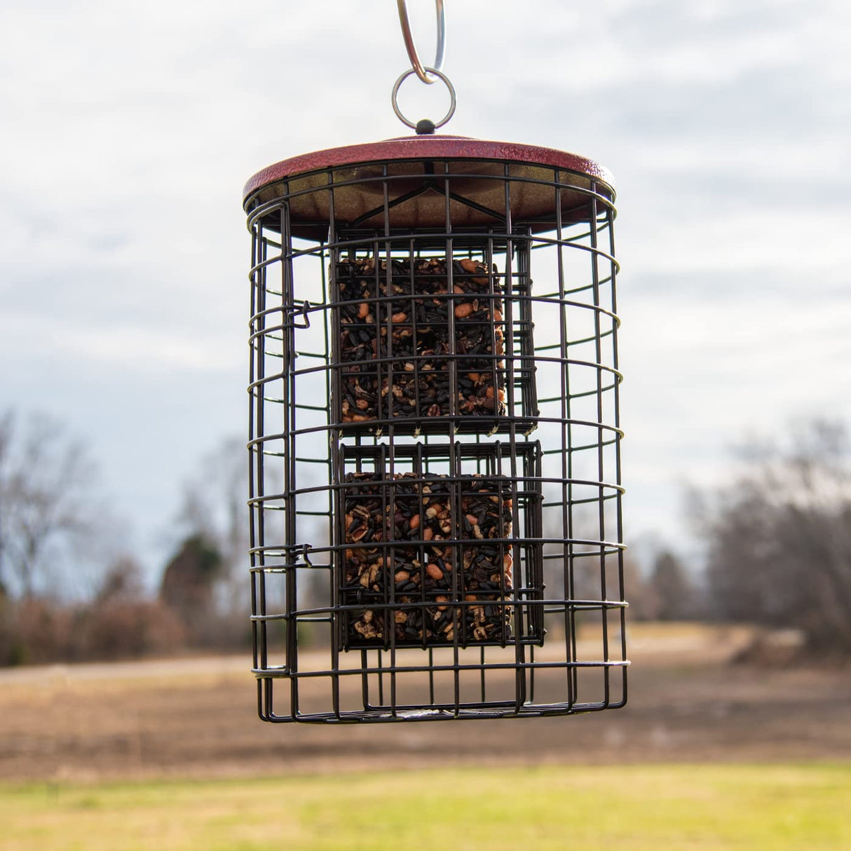 Squirrel Stopper Large Round Suet Feeder hanging outdoors, holding two suet cakes in a squirrel-proof cage.