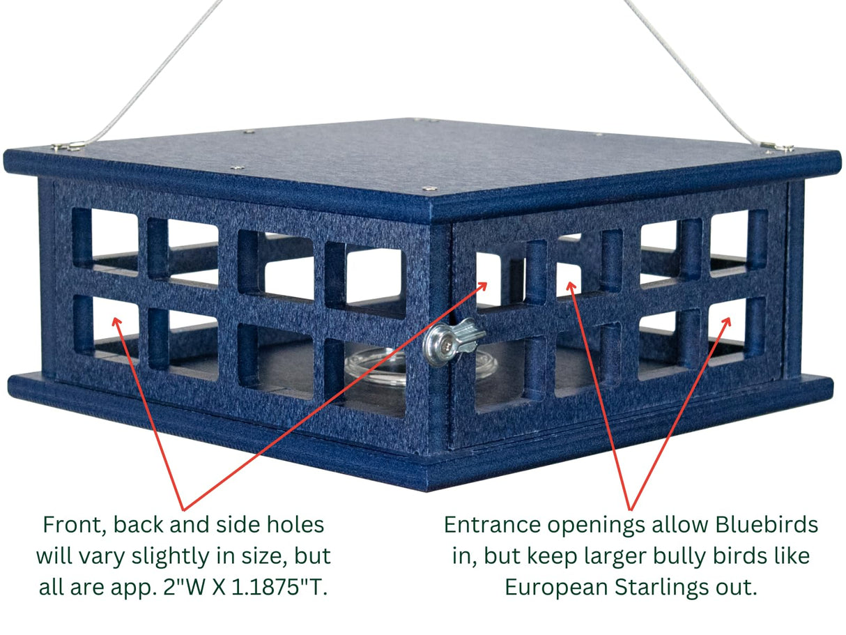 JCS Wildlife Recycled Poly Lumber Caged Bluebird Feeder with openings designed for bluebirds, preventing larger bully birds like starlings.