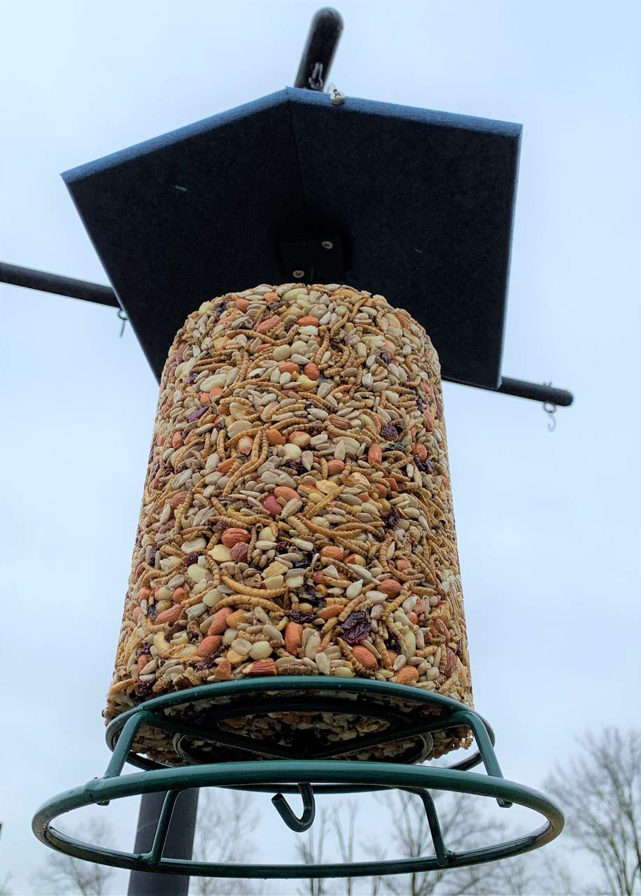 Photograph of a cylindrical bird feeder filled with sunflower seeds, peanuts, dried cranberries, and mealworms hanging from a dark-green metal stand against a pale sky