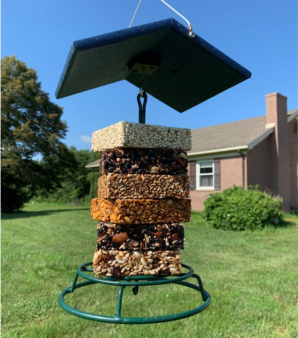 Photograph of a backyard bird feeder with a dark blue rain cover showing a stack of colorful seed cakes with nuts and seeds against a house and green lawn