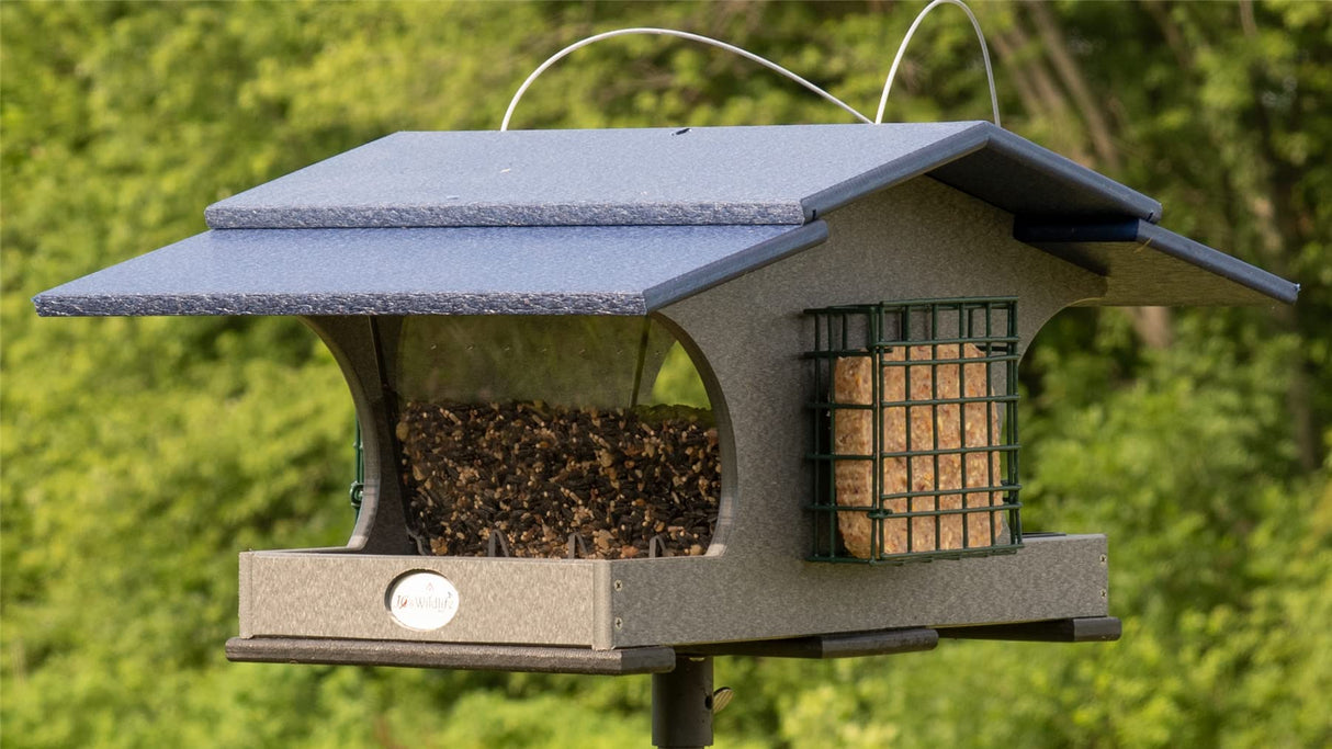 JCS Wildlife Hopper and Suet Feeder featuring large hopper, suet cage, and durable recycled materials.