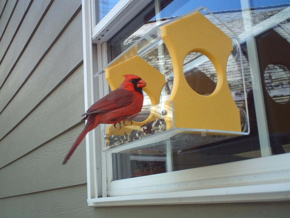 Photograph A vibrant male northern cardinal perched on a yellow and clear acrylic window bird feeder against a gray house siding a partially visible roof is reflected in the window