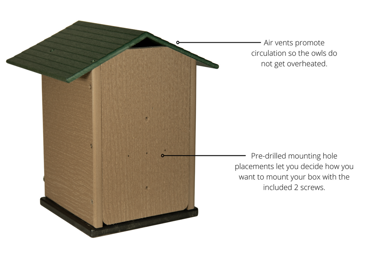 Product shot of a plastic owl house with a dark green roof showing pre-drilled holes and air vents in taupe and black