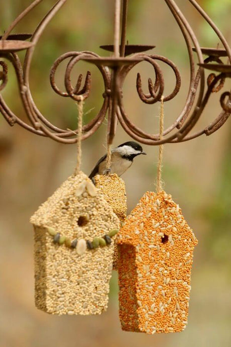 Mr. Bird Home Tweet Home 3-Pack House Seed Treats hanging with a bird enjoying the seeds.