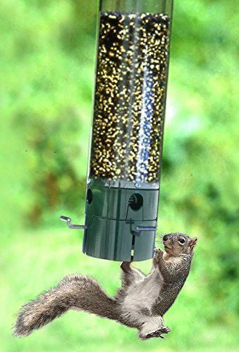 Photograph of a squirrel clinging to a cylindrical bird feeder filled with birdseed against a blurred green background