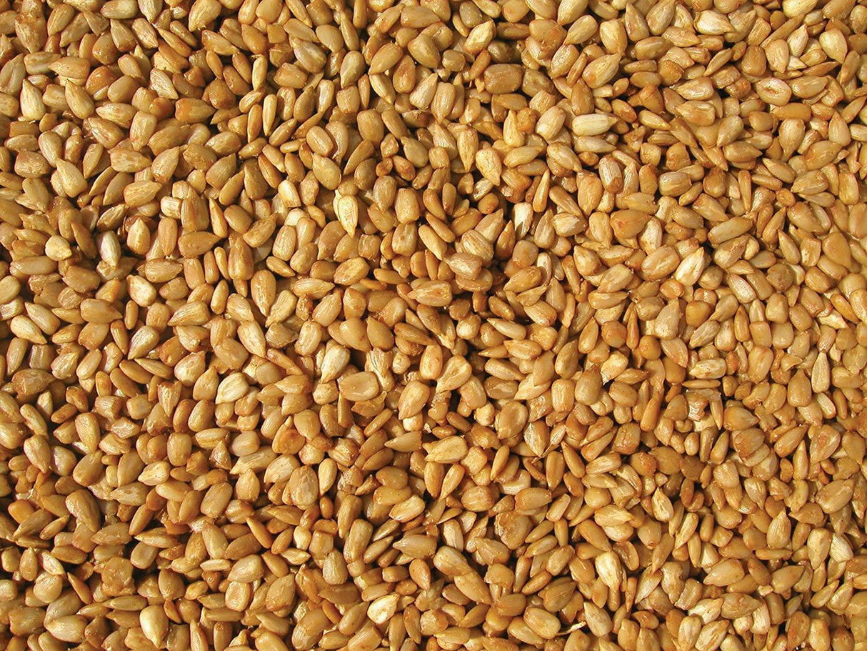 Close-up of nutritious sunflower meats for bird feeding, part of Cole's Hot Meats Bird Seed 5 lb Bag HM05.