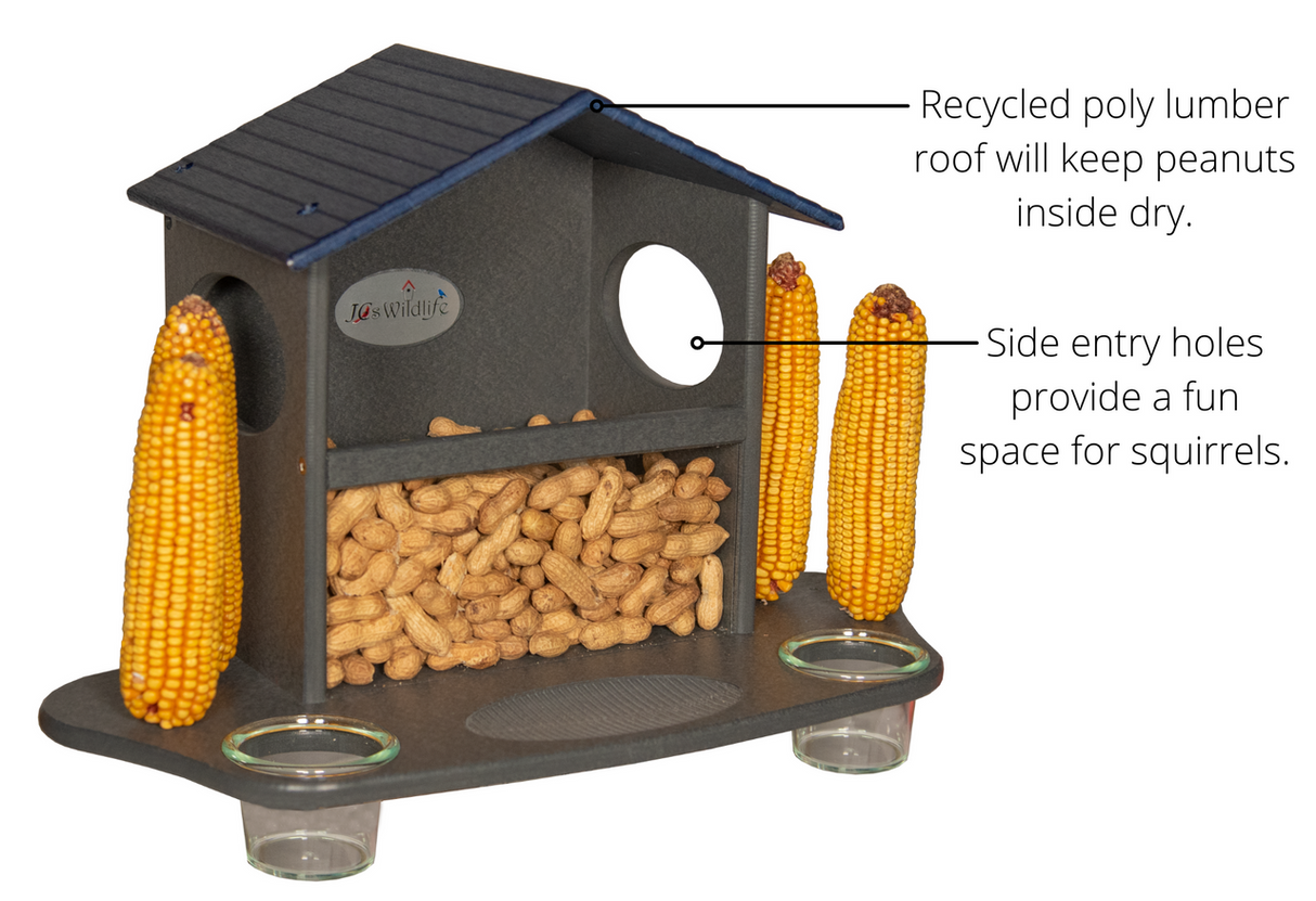 JCS Wildlife Squirrel Snack Station with peanuts, corn, and eco-friendly design for feeding squirrels.