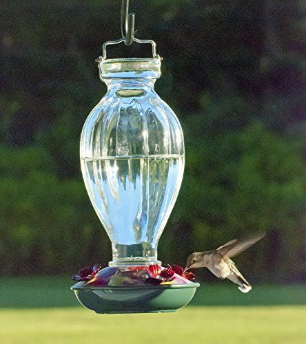 Glass hummingbird feeder with a ribbed clear reservoir and teal tray showing a hummingbird feeding amidst a lush green background