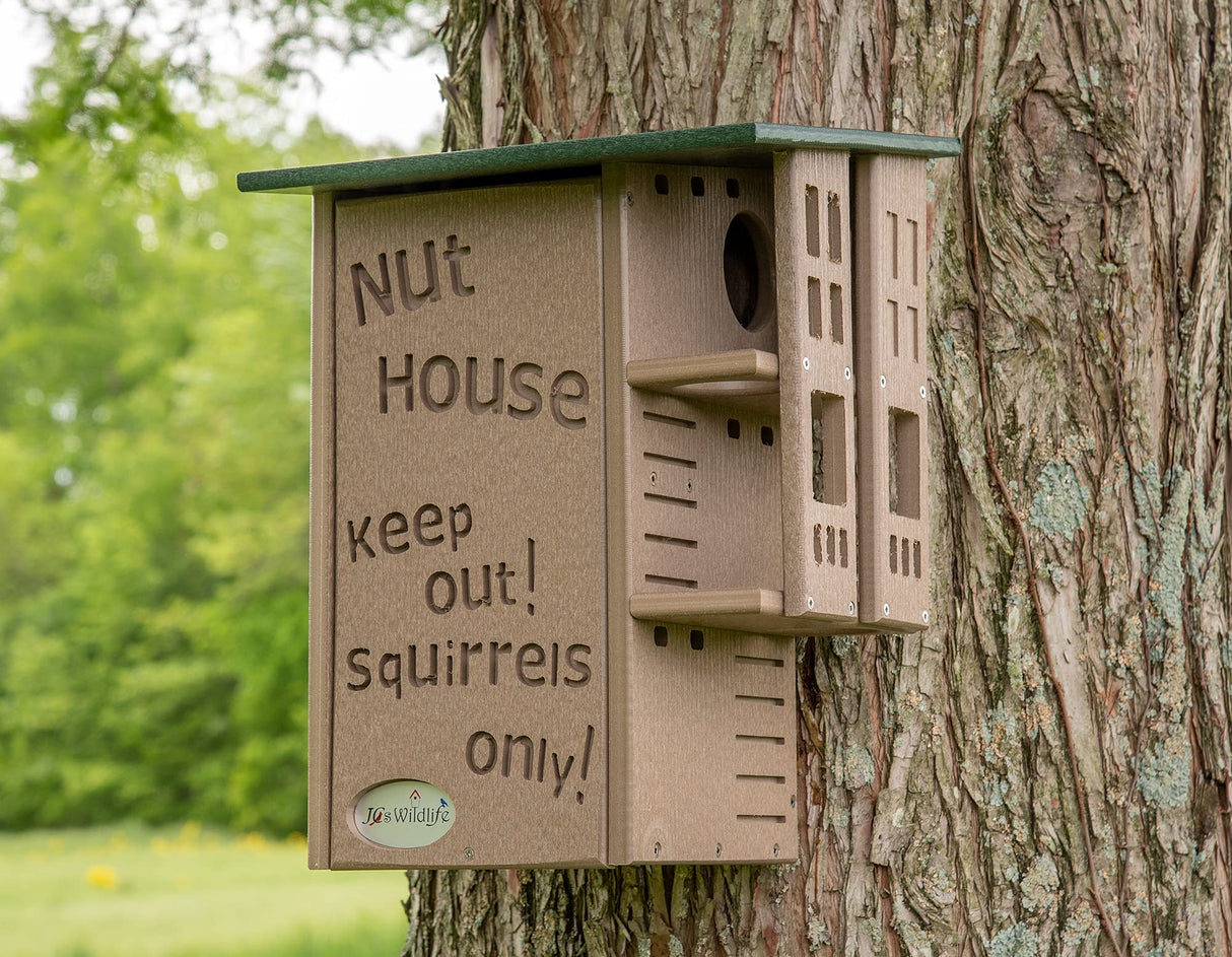 JCs Wildlife photograph of a brown and green squirrel-proof nut house mounted on a tree trunk with a carved sign keep out squirrels only showing unique ventilation and a small landing platform