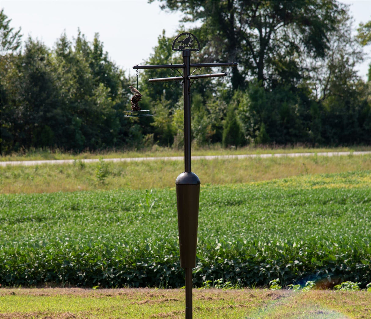 Squirrel Stopper Black Deluxe Squirrel Proof Pole System with Baffle in an open field for bird feeding.