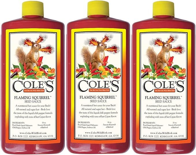 Product image showing three bottles of Cole's Flaming Squirrel Seed Sauce featuring a cartoon squirrel surrounded by vibrant red and yellow chili peppers and other spices in Kennesaw, GA