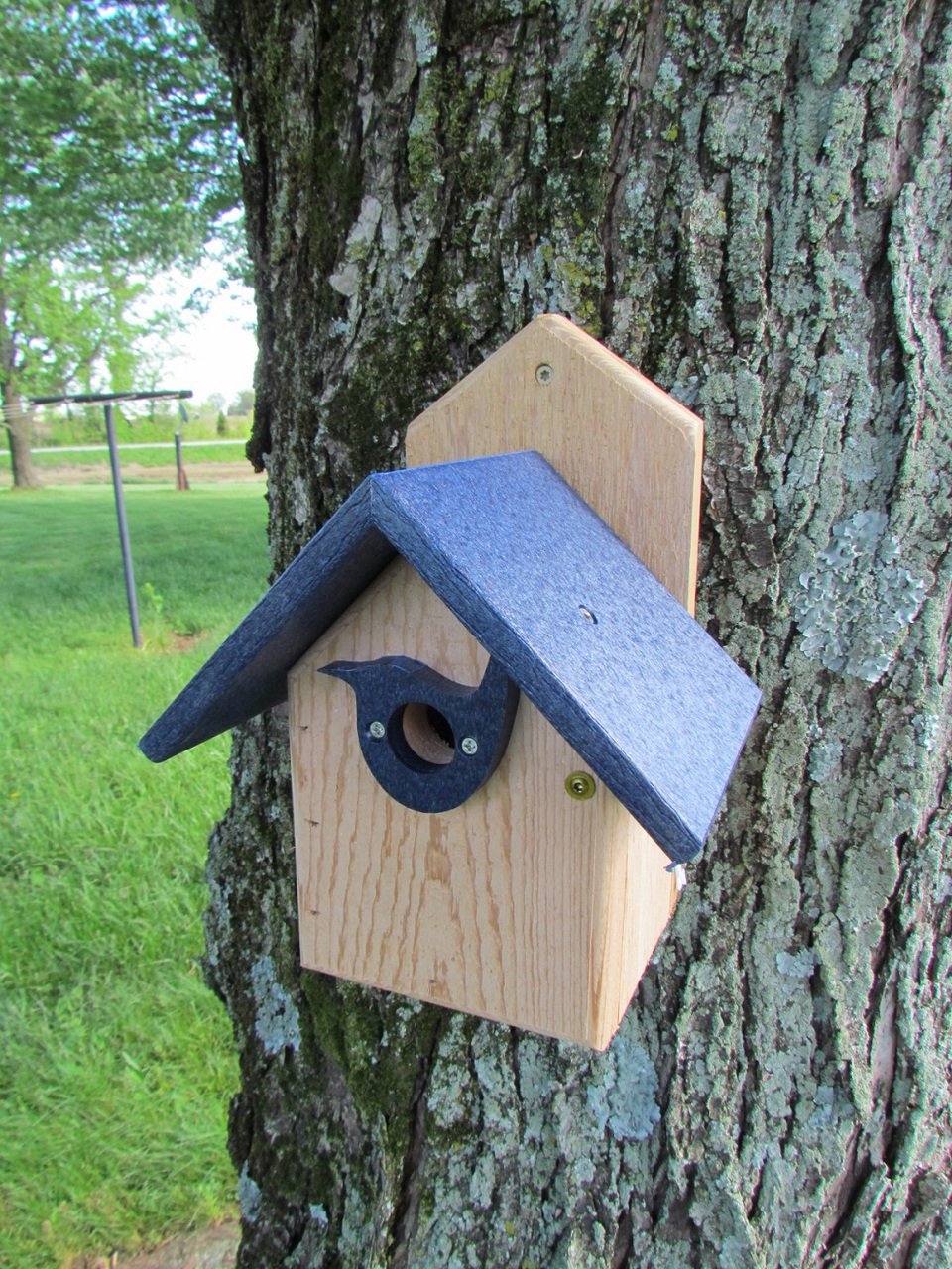Wooden birdhouse with a dark blue roof attached to a tree trunk in a grassy yard featuring a bird-shaped entrance hole and brass colored screws on a natural wood background