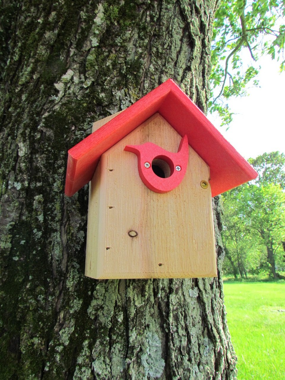 Wooden birdhouse with red roof and bird-shaped entrance on a moss-covered tree in a lush green park showcasing vibrant red accents and detailed wood grain