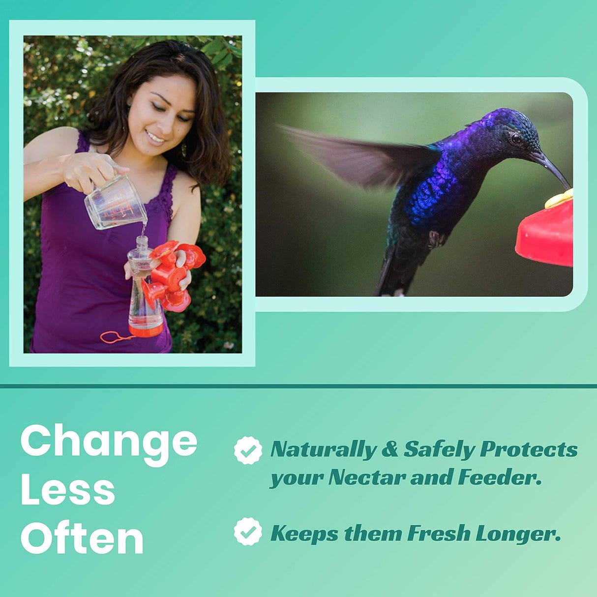 Photo collage showing a woman preparing hummingbird nectar outdoors a vibrant purple hummingbird at a red feeder with lush green foliage in the background