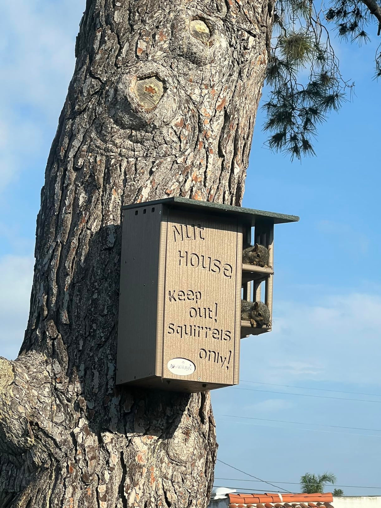 Photograph of a Jo Wild Nut House attached to a tree trunk featuring two squirrels, a carved Keep Out sign, and a rustic brown color palette
