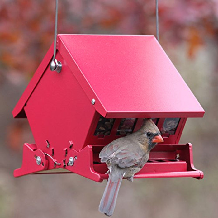 A charming red bird feeder with a cardinal perched on its edge, inviting birds for a meal outdoors.