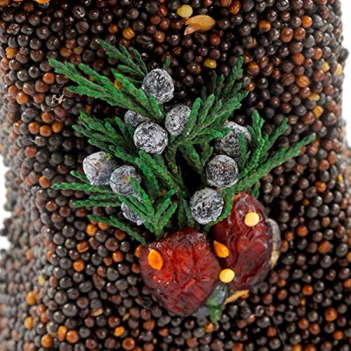 Mixed media artwork featuring a close-up of a bird feeder constructed from various seeds berries and sprigs of juniper with frosted berries and vibrant red dried cranberries
