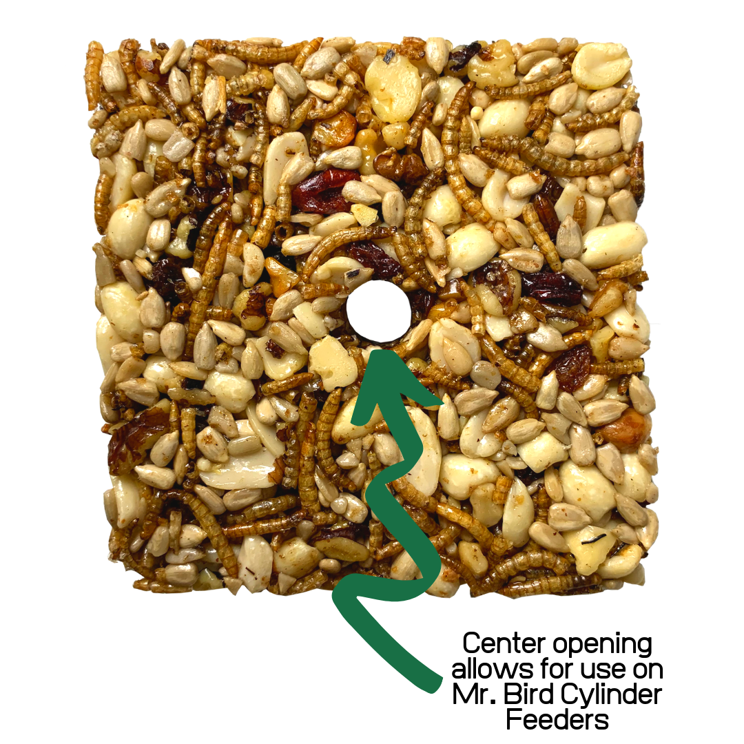 Mr. Bird Bugs, Nuts, & Fruit Small Wild Bird Seed Cake showing center hole for Mr. Bird cylinder feeders.