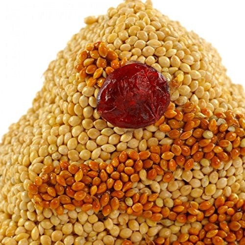 Close-up of a birdseed artwork featuring a vibrant red centerpiece surrounded by yellow and orange seeds creating a textured, conical shape