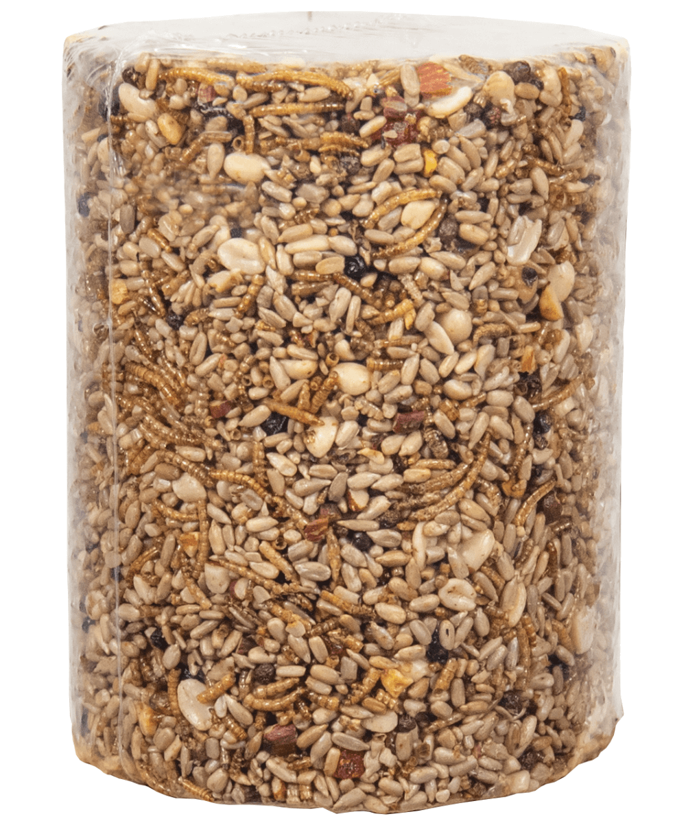 JCS Wildlife Bugs Nuts and Berries Premium Bird Seed cylinder, 3.8 lb, packed with high-quality bird feed ingredients.