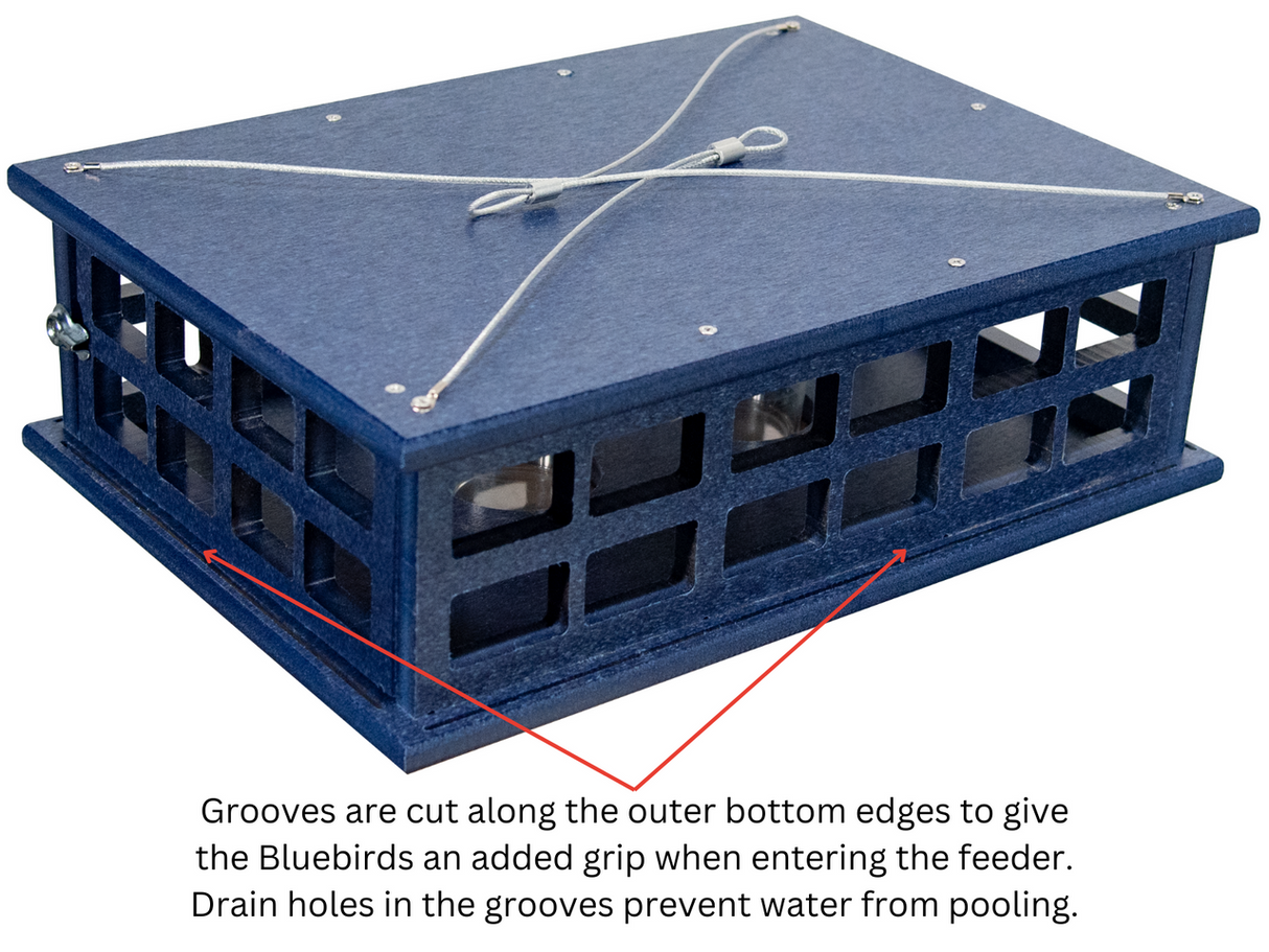 JCS Wildlife Recycled Poly Lumber Deluxe Caged Platform Bluebird Feeder with grip grooves and drainage features.