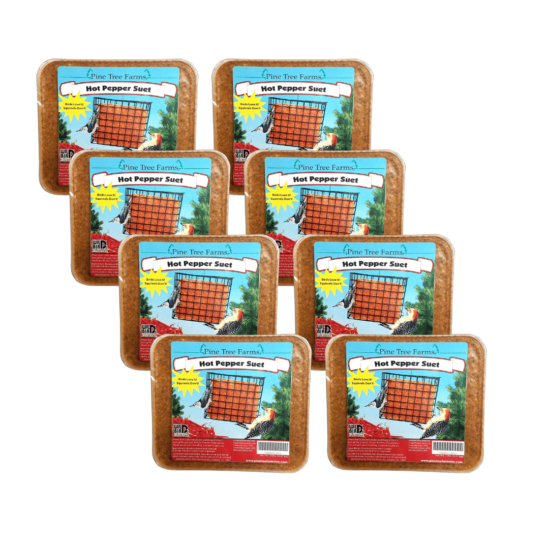 Pine Tree 1441 Hot Pepper Suet Cake, 3-Pound, pack of 8, ideal for attracting birds and deterring squirrels.