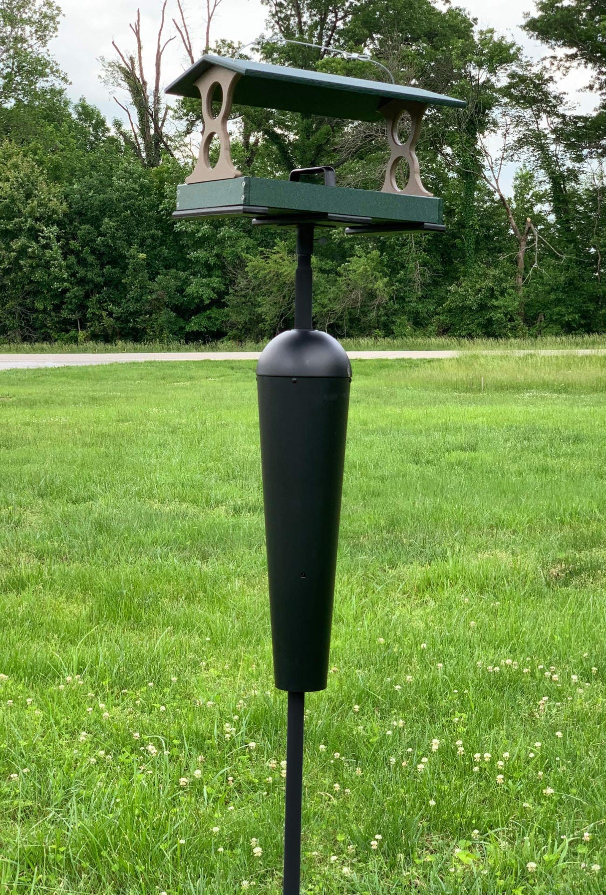 Photograph of a green and black bird feeder with a protective squirrel baffle standing in a grassy field near a road and lush green trees
