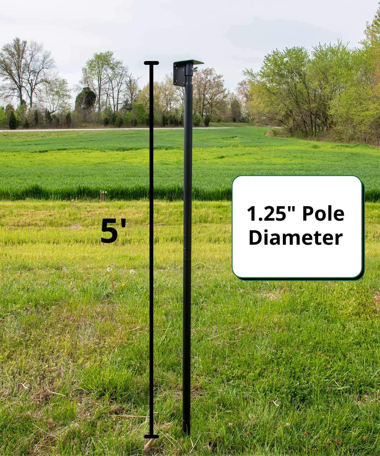 Photo of a five-foot black metal post with a 125-inch diameter in a grassy field featuring a verdant landscape and distant trees under a pale sky showcasing vibrant green and yellow hues and a few scattered dandelions