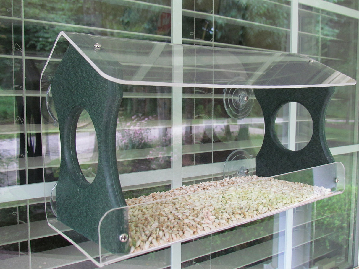 Acrylic bird feeder on a window showing  white birdseed, dark green accents, and clear suction cups against a window with white blinds reflecting a garden scene