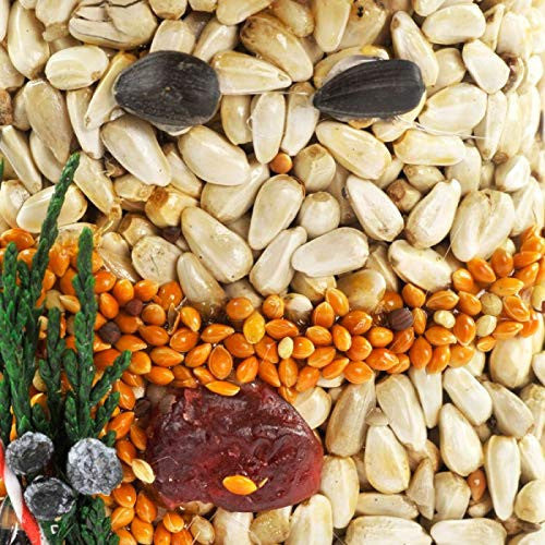 Unknown artist mixed media bird feeder featuring sunflower seeds, orange millet, a dark red berry, and evergreen sprigs.