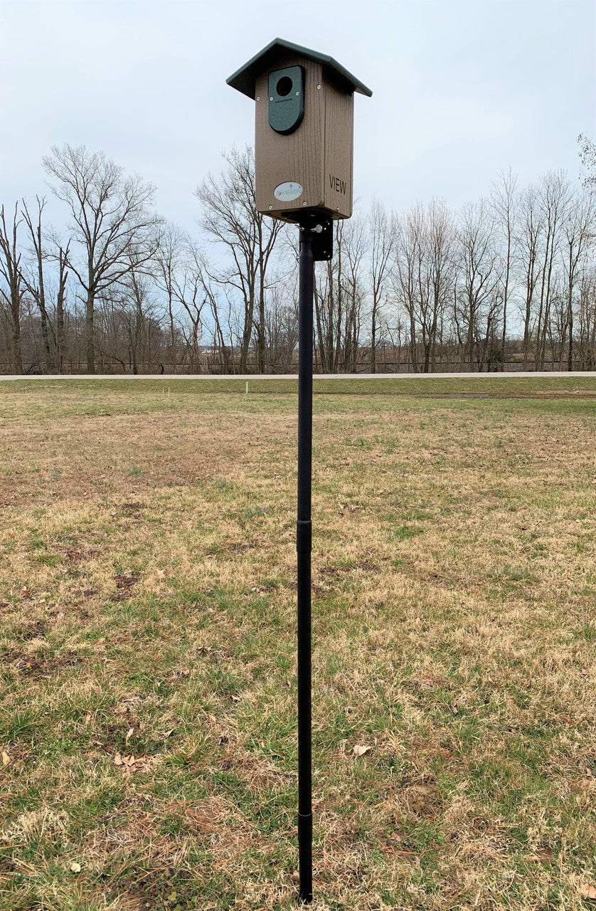 Photograph of a brown and green recycled plastic birdhouse mounted on a black pole in a grassy field with bare winter trees and a distant road in the background