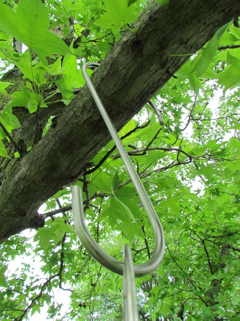 Photograph stainless steel hook hanging from a tree branch amidst vibrant green maple leaves and a partly cloudy sky