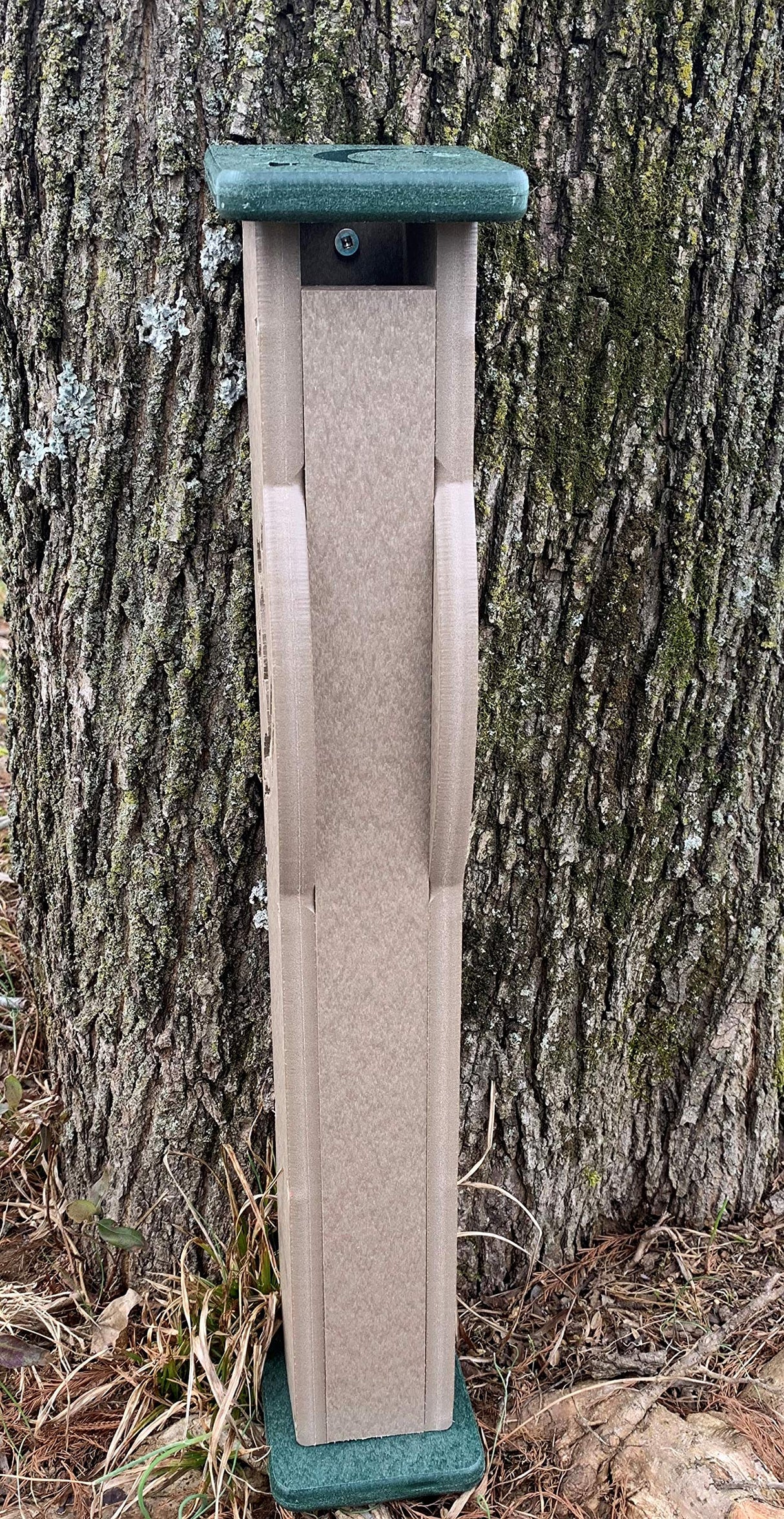 Plastic composite birdhouse next to a tree with moss and lichen showing a taupe body green top and visible screw