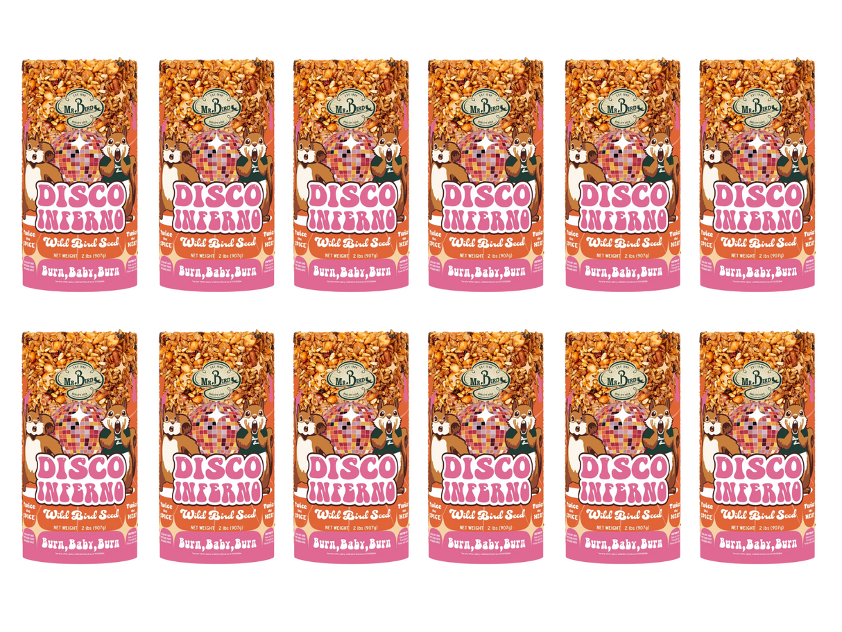 Mr Bird's illustration of twelve Disco Inferno Wild Bird Seed packages featuring dancing squirrels against a pink and orange background with a retro disco ball and textural seed mix