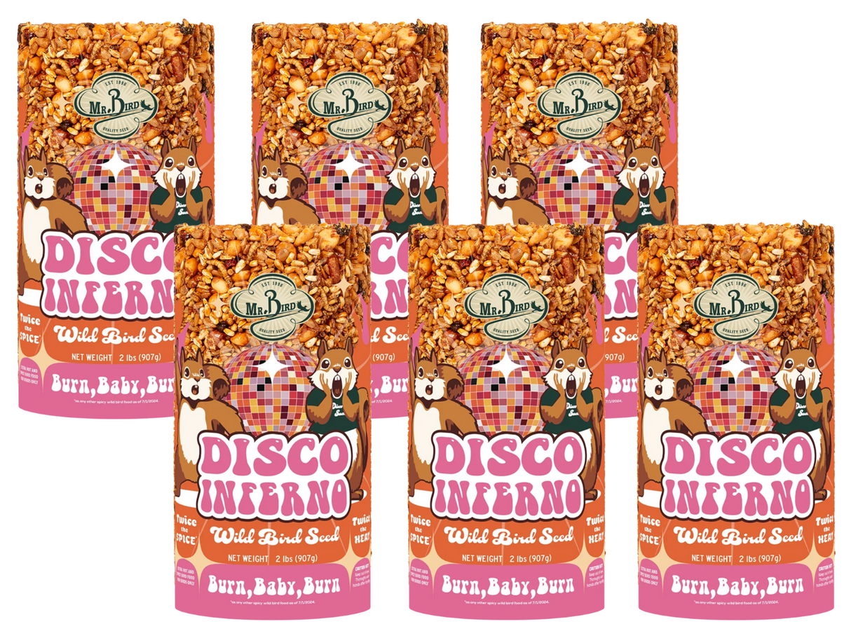 Mr. Bird's illustration of six Disco Inferno Wild Bird Seed packages featuring a dancing squirrel and a colorful disco ball against a vibrant orange background