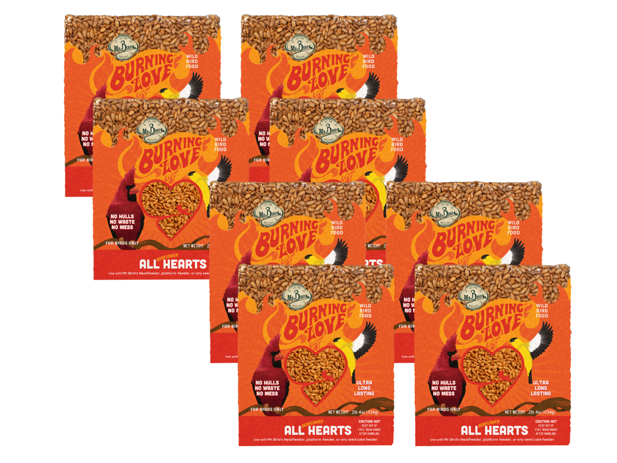 Mr. Bird's Burning Love sunflower All Hearts wild bird food package showing bright orange flames, a red cardinal, and multiple bags of seed.