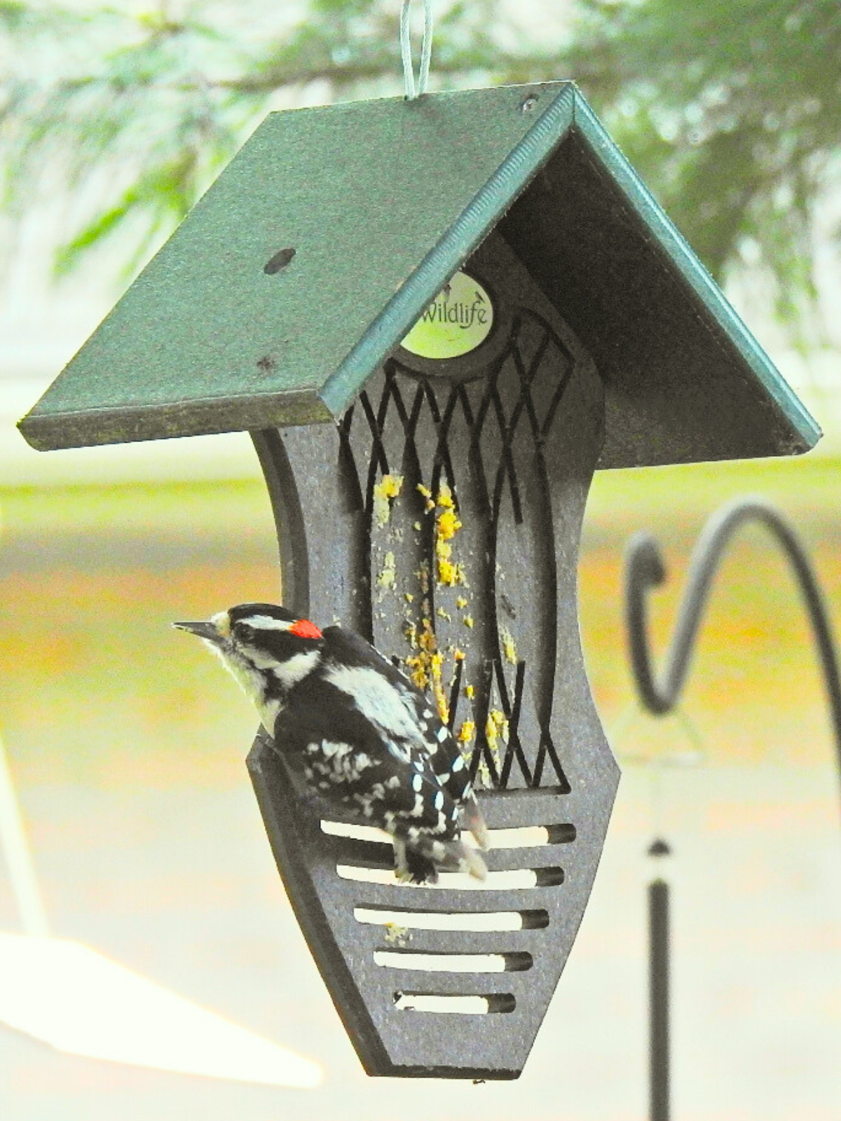JCS Wildlife Spreadable Suet & Peanut Butter Feeder