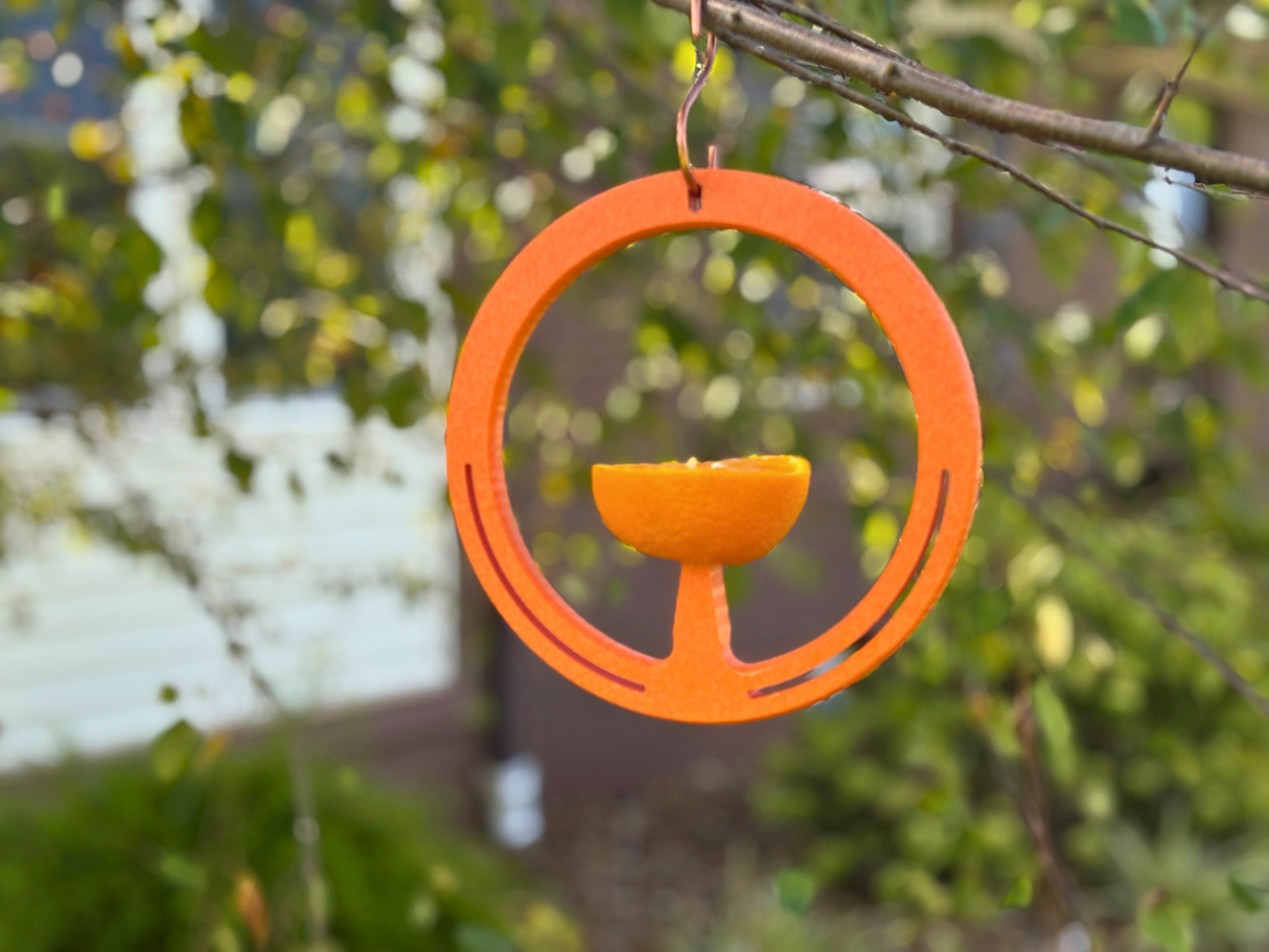 Unknown artist, 3D-printed orange bird feeder hanging from a tree branch in a garden featuring a vibrant citrus segment and a copper hook showcasing a blurred background of lush green foliage