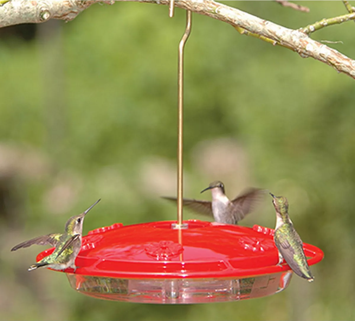 Aspects 143 HummZinger Excel Hanging Hummingbird Feeder attracting hummingbirds with vibrant red color.