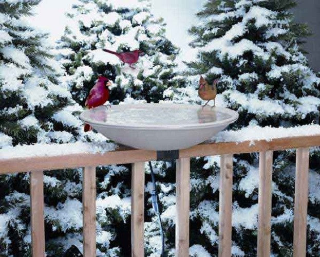 Photograph of a heated birdbath on a snowy deck amongst snow covered evergreen trees with vibrant red cardinals and a brown bird enjoying the water