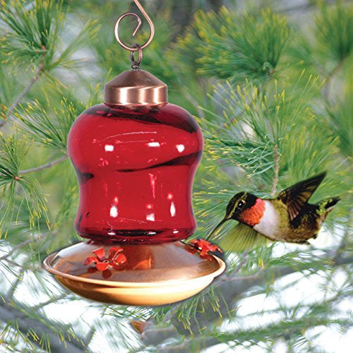 Glass hummingbird feeder with copper accents and red glass body showing a ruby throated hummingbird feeding amongst pine tree branches