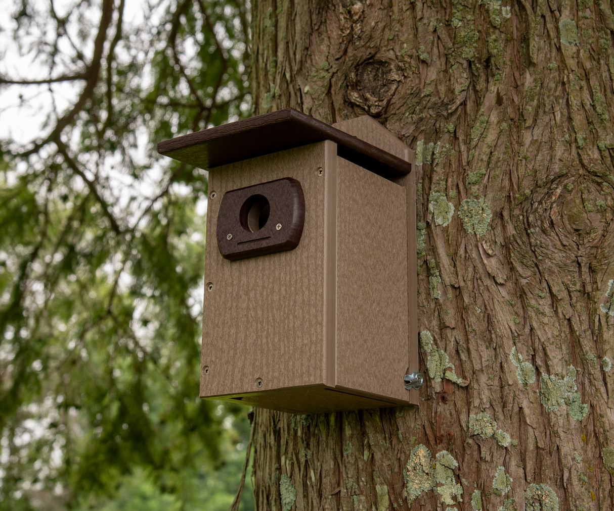 Recycled plastic birdhouse affixed to a tree trunk showing a dark brown roof a taupe body and visible screws amidst lichen and green foliage
